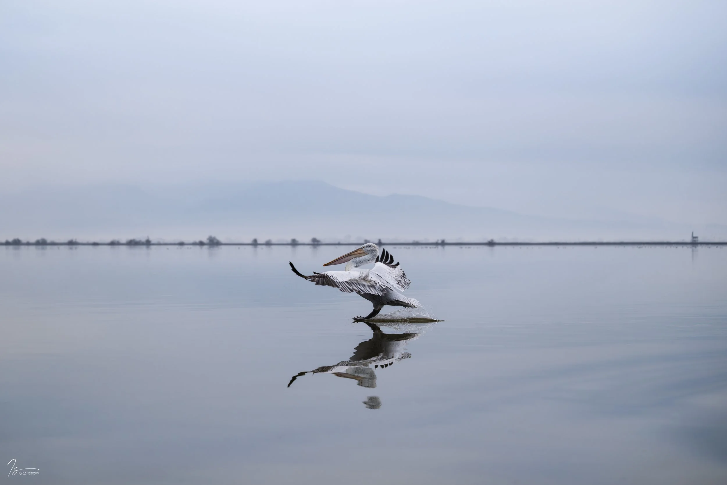 _DSC7305-Edit_Fixed Width_5000x3333_U_100.jpg