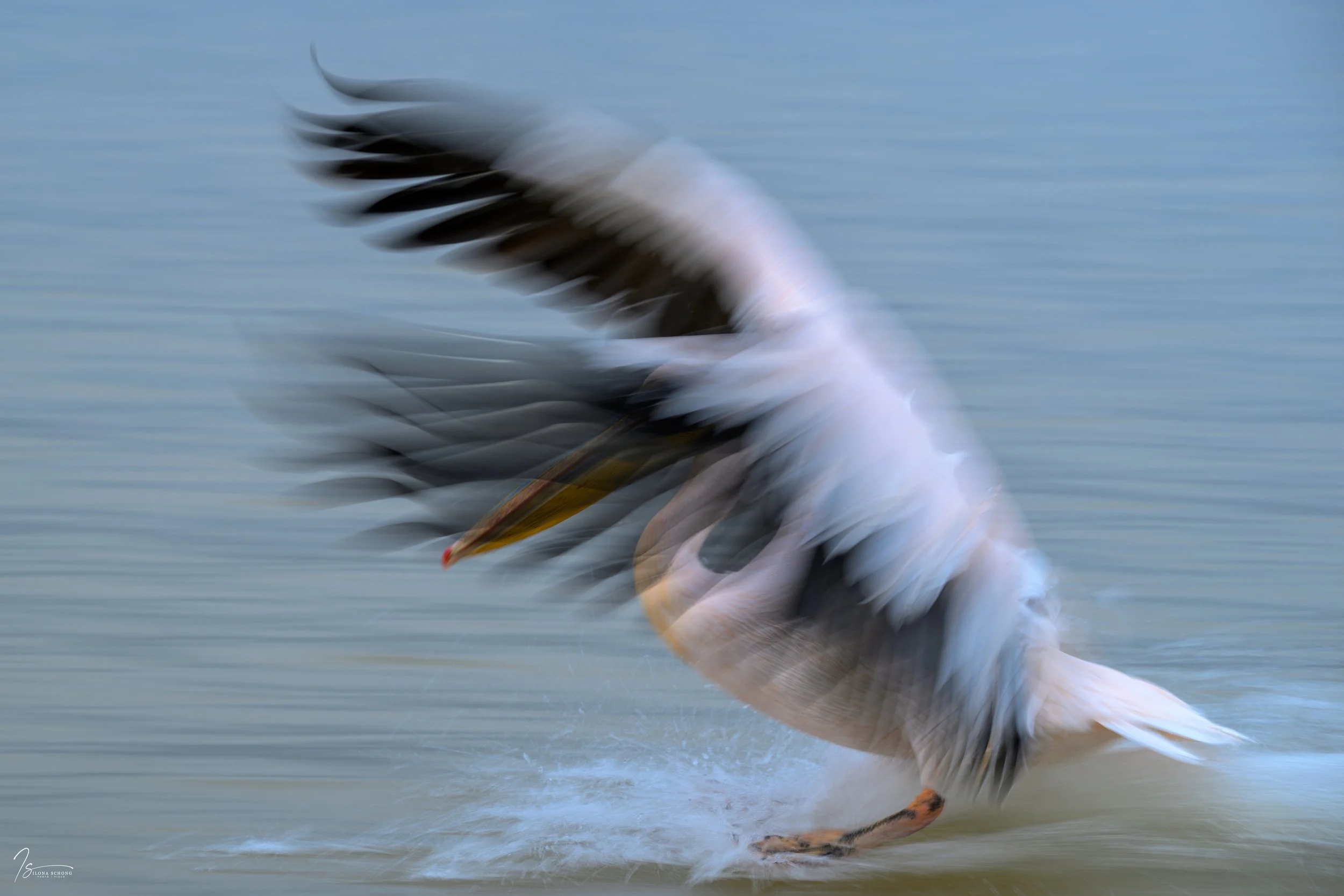 _DSC2634_Fixed Width_5000x3333_U_100.jpg