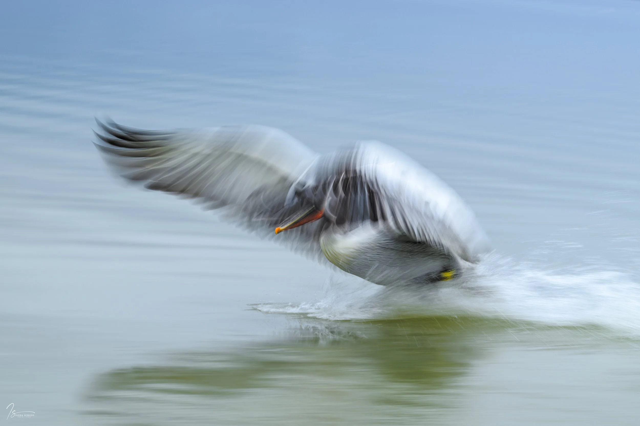 _DSC5122-Edit_Fixed Width_5000x3334_U_100.jpg