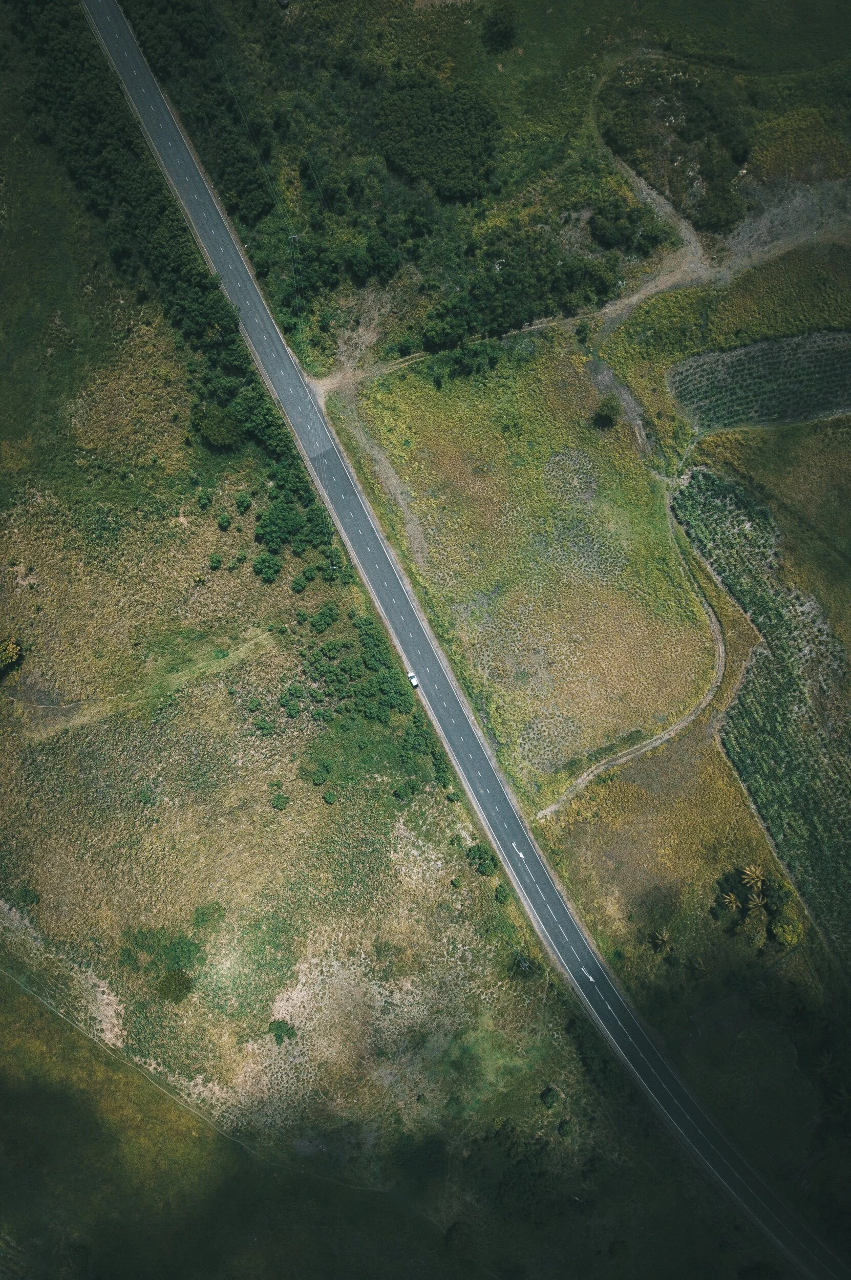 DJI_0241.jpeg