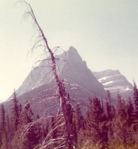 Glacier National Park, Montana, 1973.