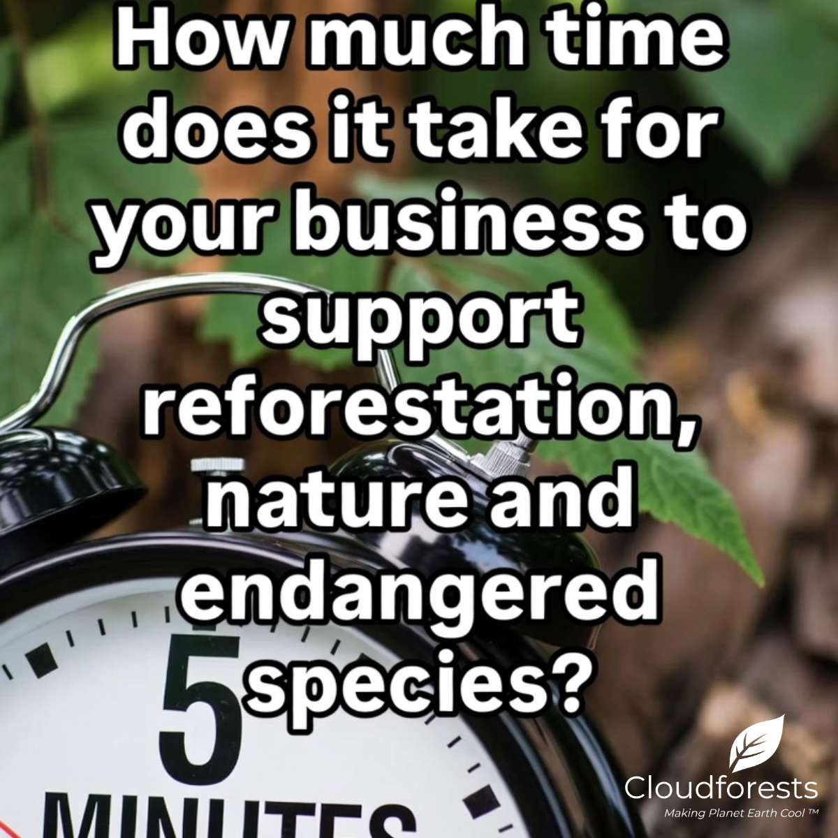 It Only Takes Five Minutes to Become a Cloudforests CoolPartner