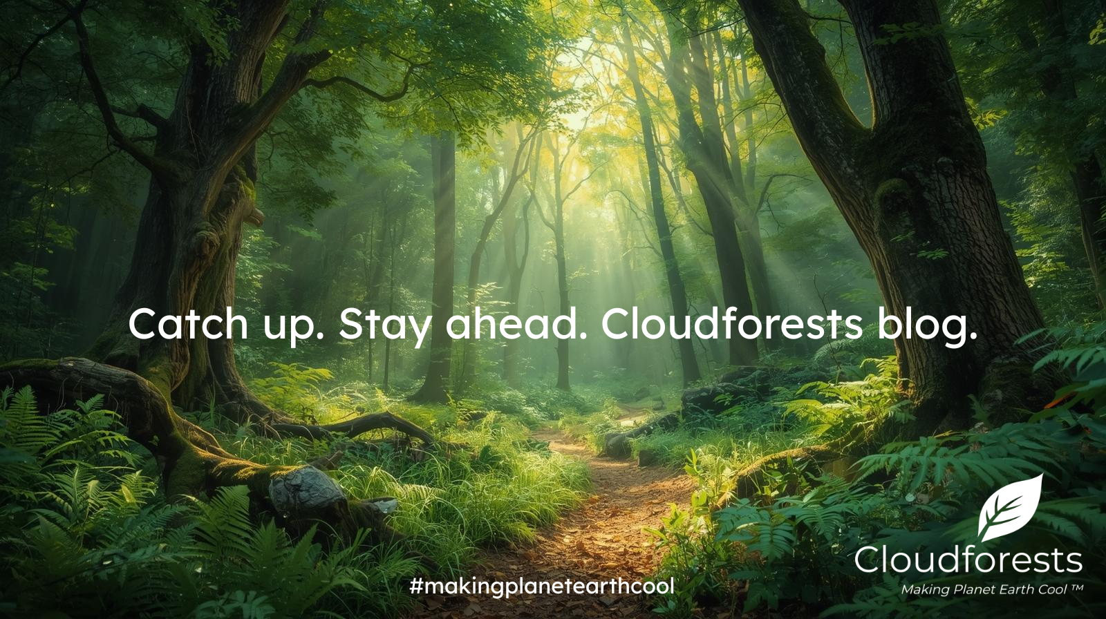 Moss: The Silent Guardian of the Forest