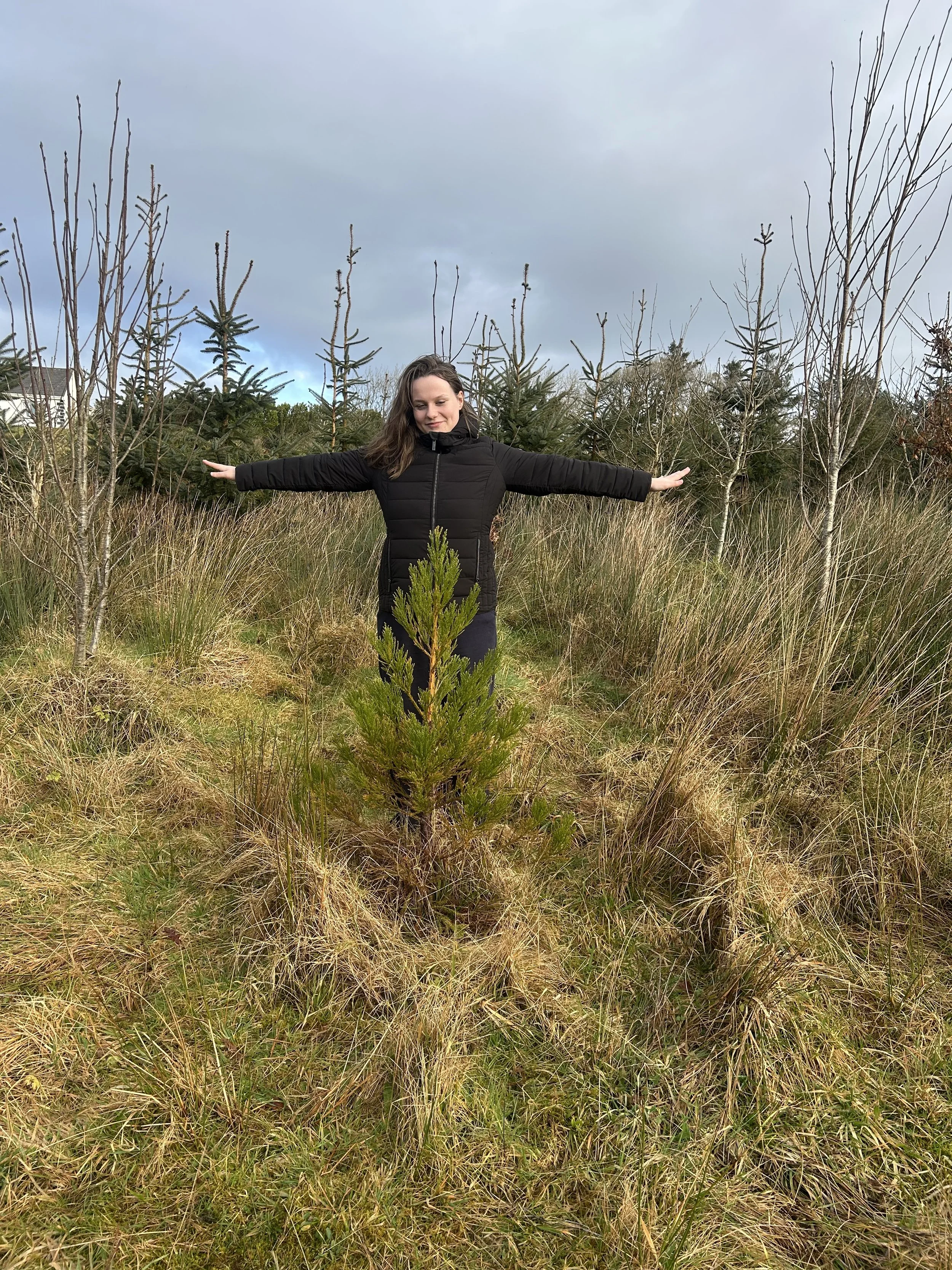 The Climate Impact of Planting Just One Tree Over Its Lifetim