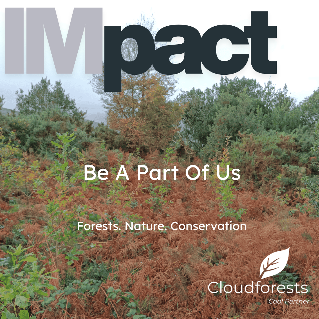 Pathways to Net Zero: A Practical Guide for Irish Businesses and Communities