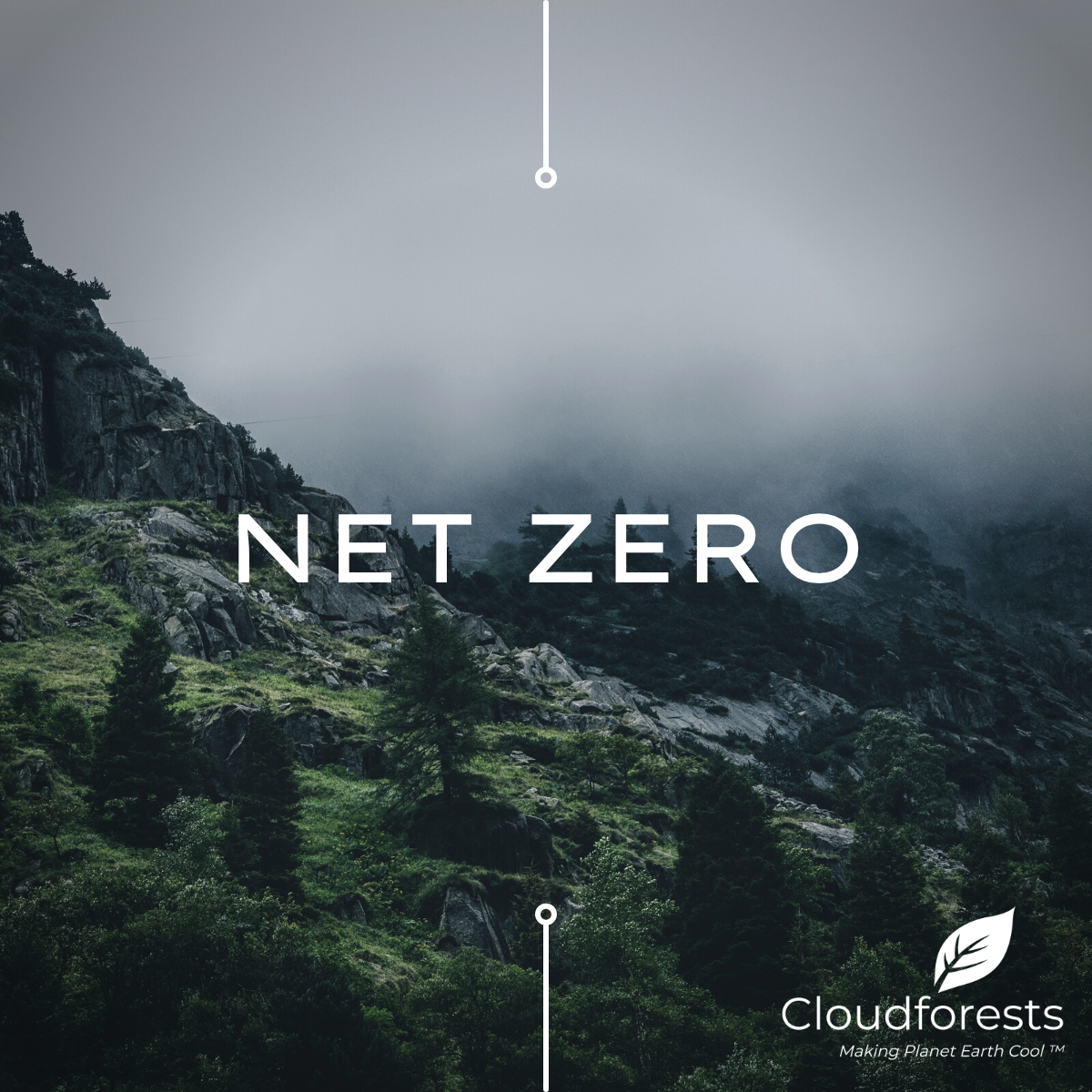 CloudForest One: Delivering Verified Carbon Removal and Biodiversity in Ireland