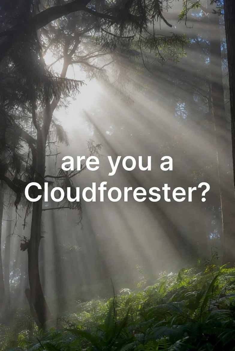 How Businesses of Any Size Can Benefit from a CoolPartner Membership