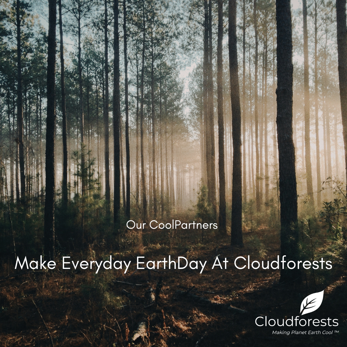 A Global Shift Away from Fossil Fuels — And How You Can Help by Planting Trees