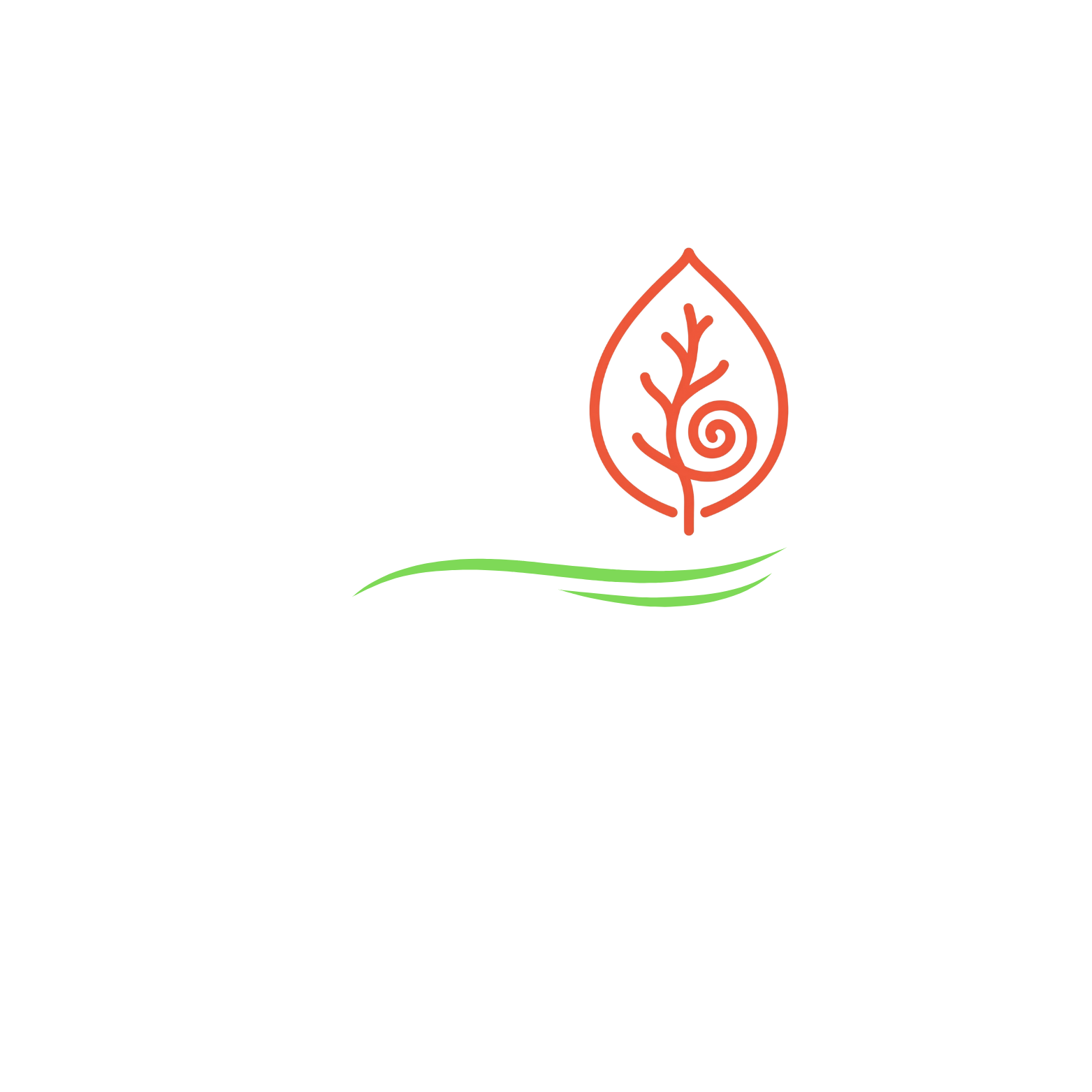 Invest in the Future of Ireland’s Native Forests with Druath and Cloudforests.ie