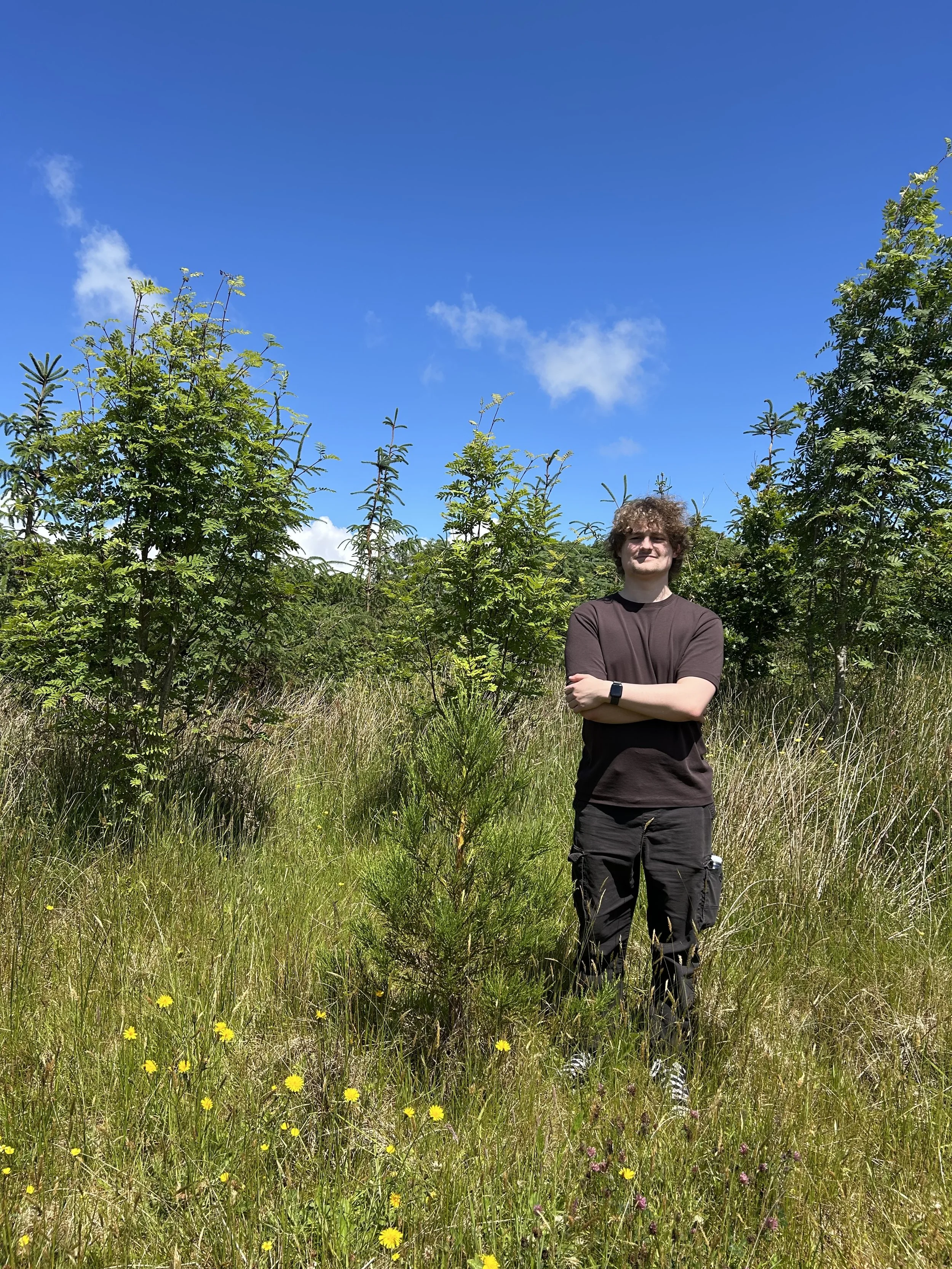 Cloudforest One Enters Independent Carbon Verification