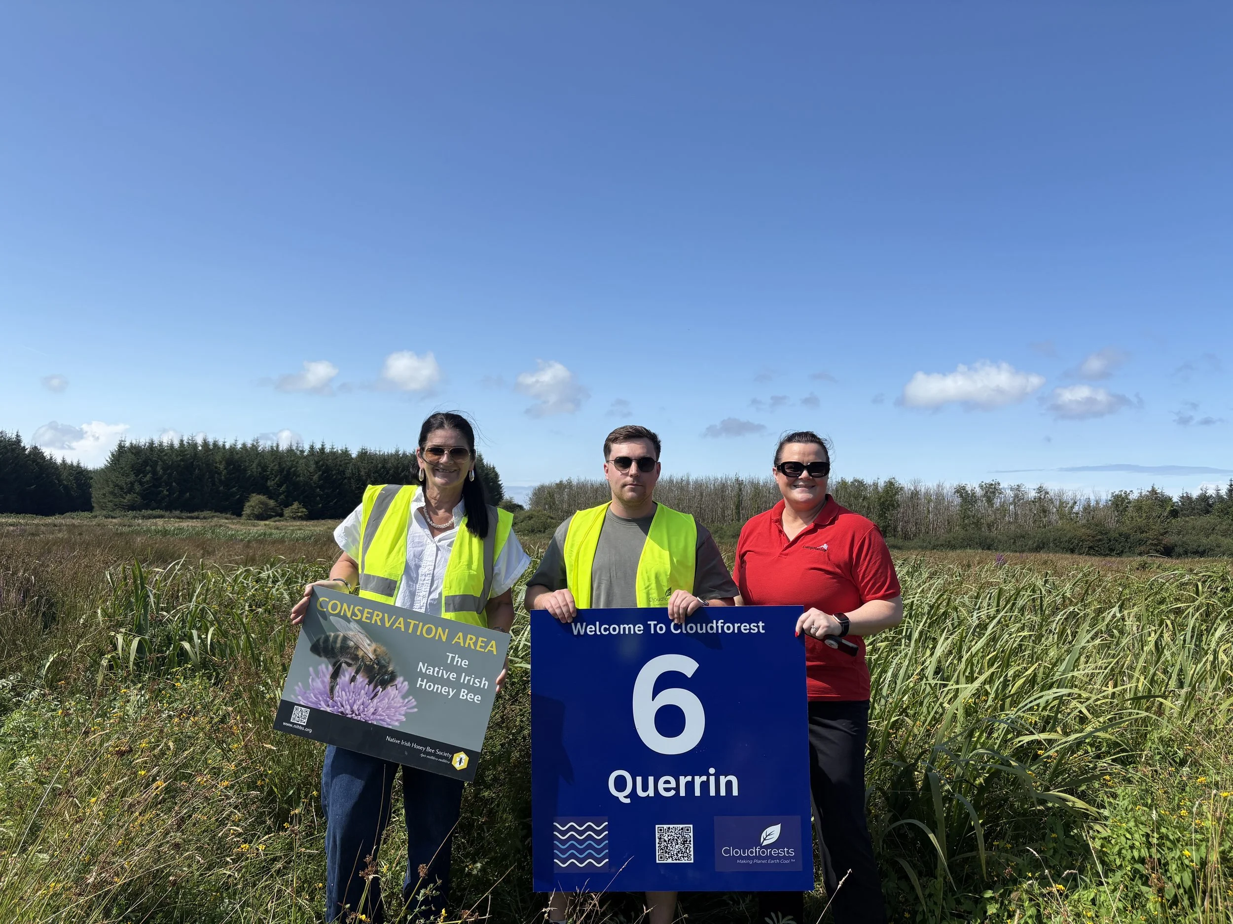 From Business Partnership to Real-World Environmental Impact