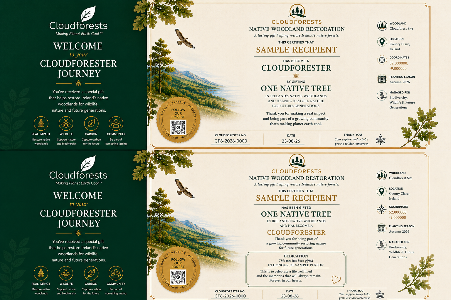A Gift from America, Growing in Ireland: Remembering the Auld Sod