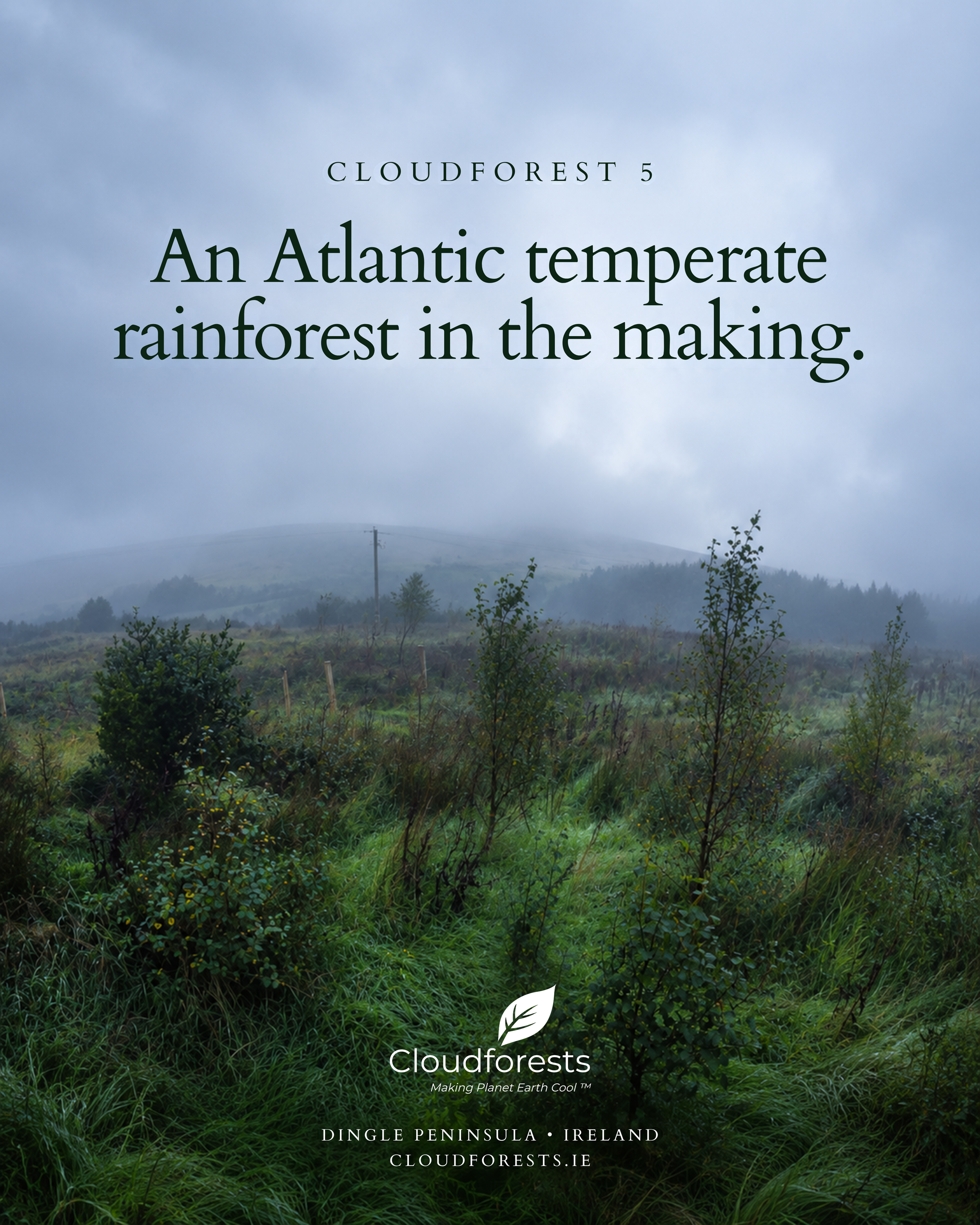 An Atlantic Temperate Rainforest in the Making: Cloudforest Five