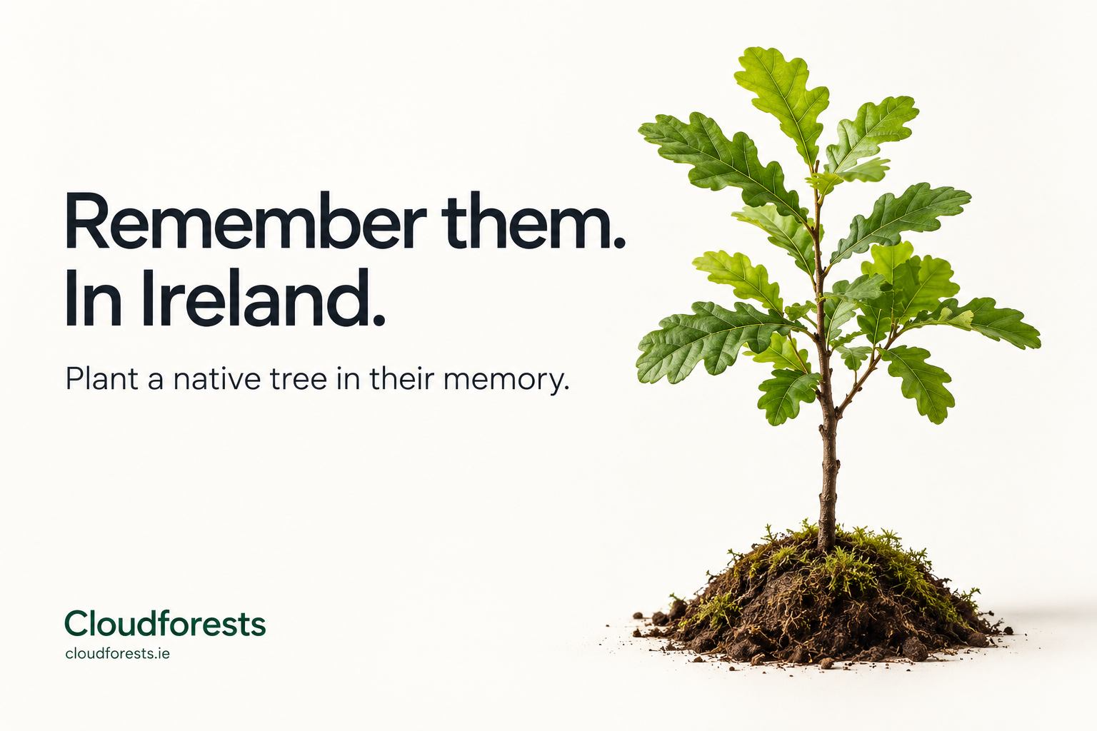 Memorial Trees in Ireland: A Meaningful Way for Irish Americans to Remember Someone They Love