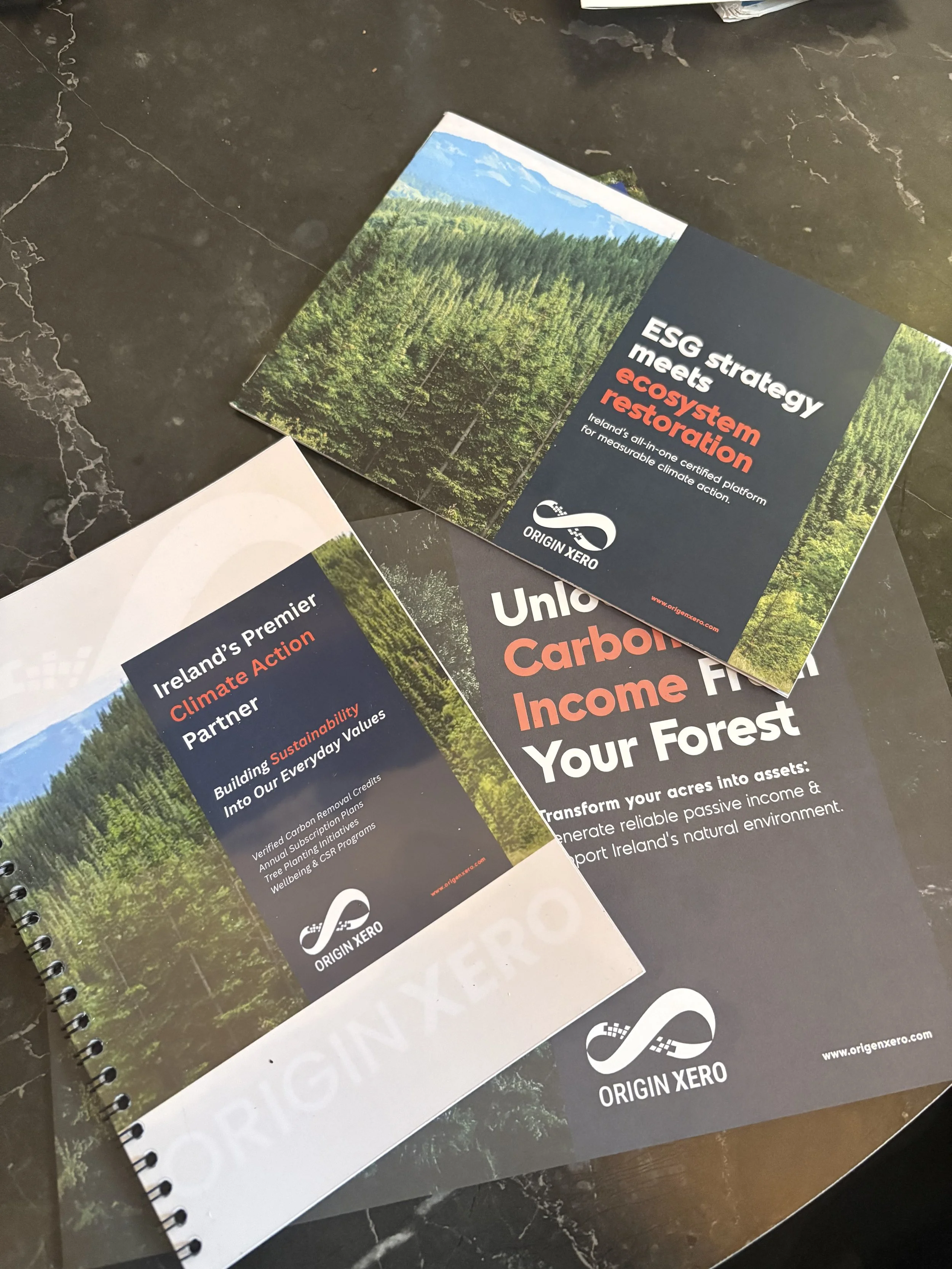 Cloudforest One: A Milestone in Measuring Our Woodland’s Impact