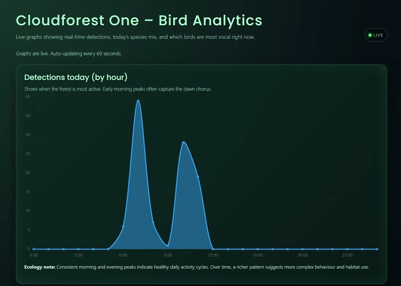 The Dawn Chorus at Cloudforest One: Listening to a Growing Irish Woodland