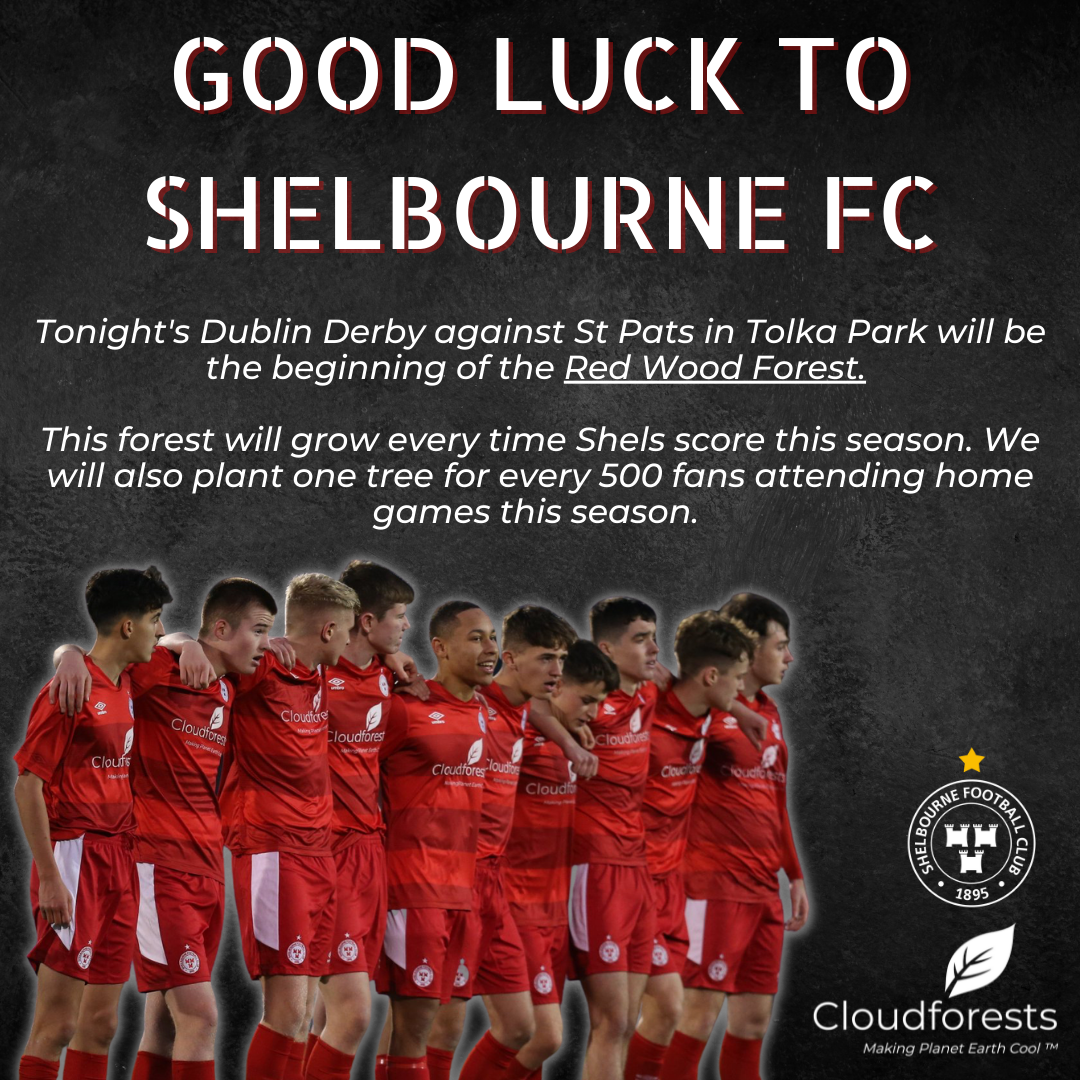 Good Luck Shelbourne FC! — Cloudforests