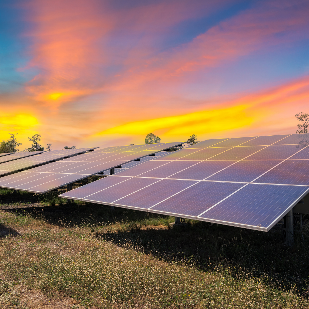Reduce your Carbon Footprint with Solar Evolution — Cloudforests