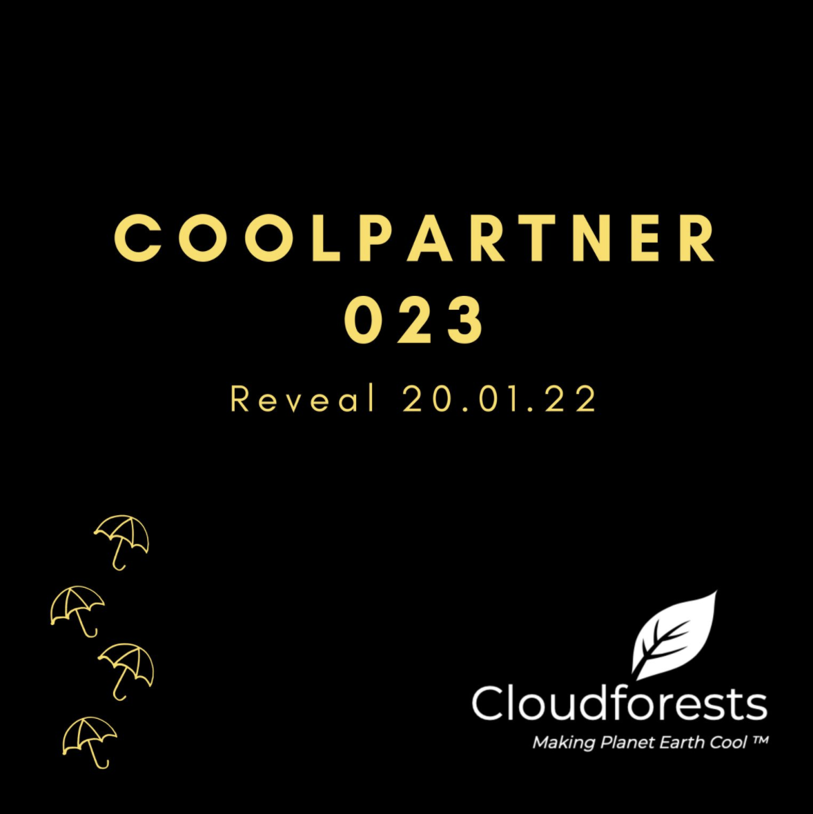 CoolPartner 023 Announcement Coming This Thursday 20 01 2022 Cloudforests