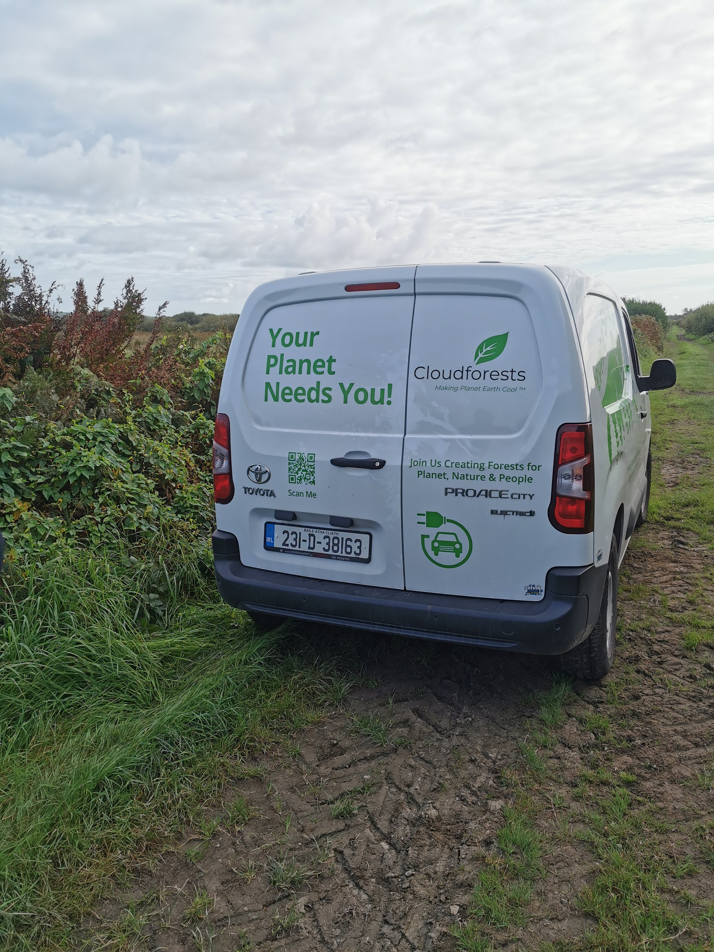 Making Every Tree Count: CloudForests Launches Carbon Verification With Origin Xero