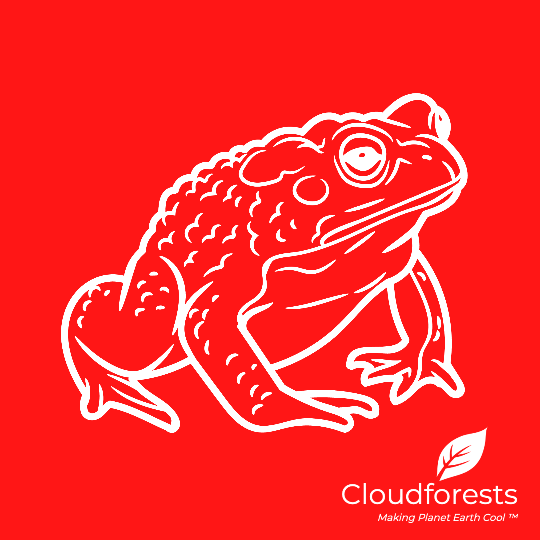 Exploring Ireland's Frogs A Journey Through Nature's Wonders — Cloudforests