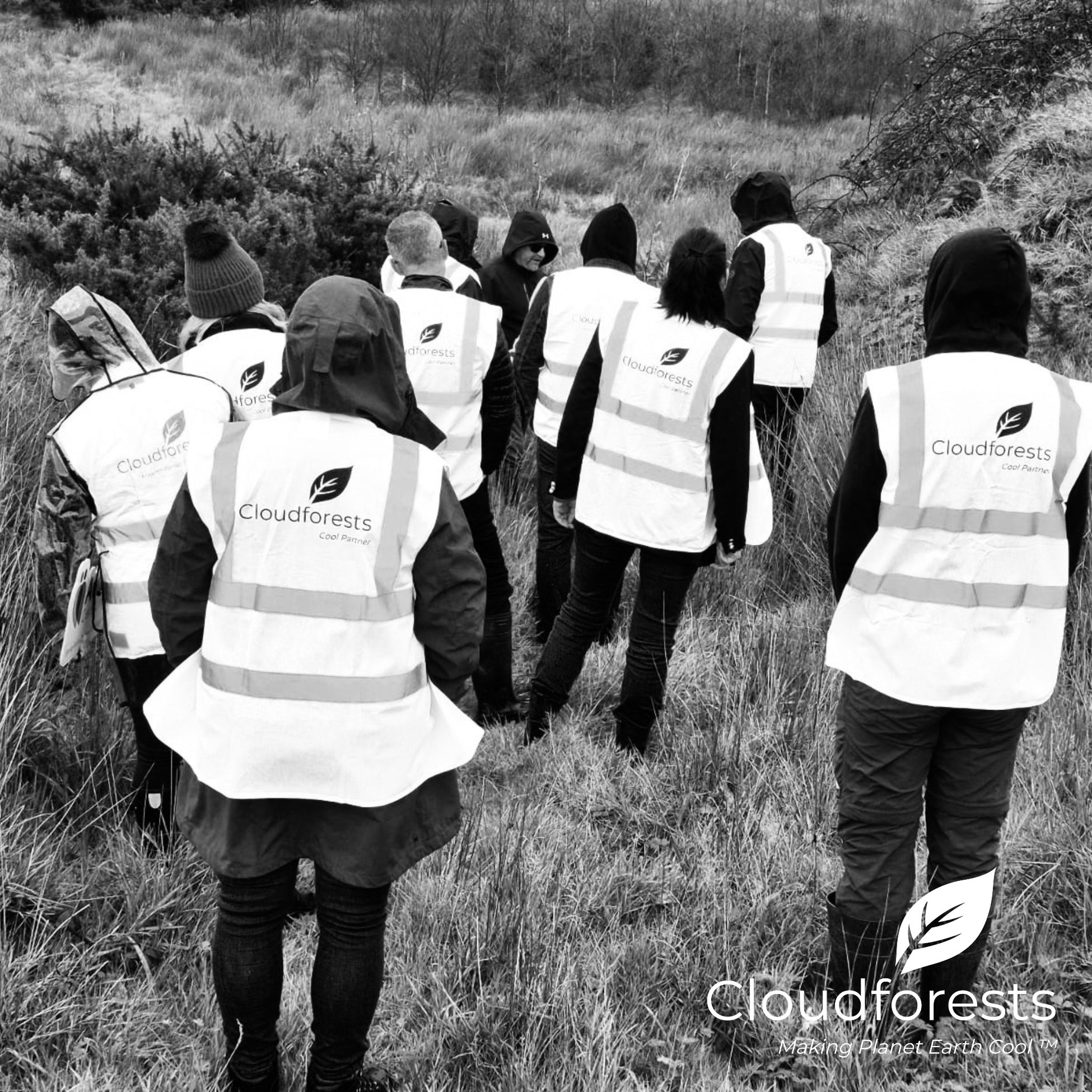 people walking through a forest