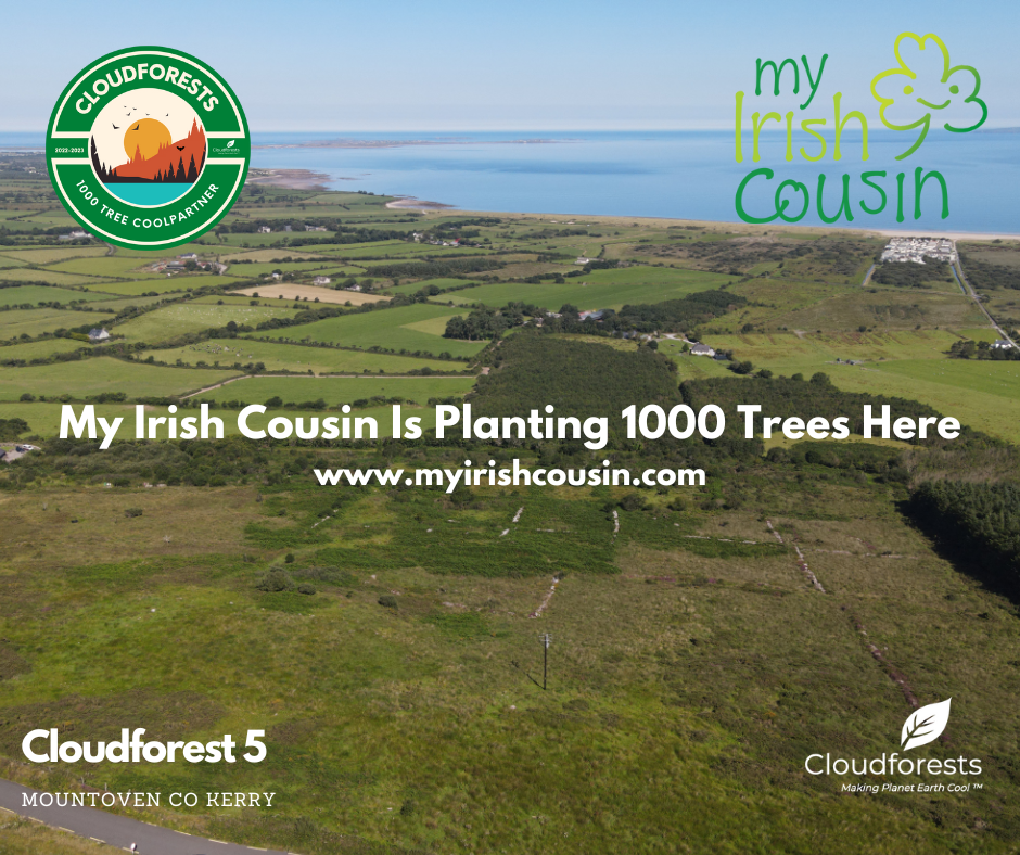 My Irish Cousin — Cloudforests