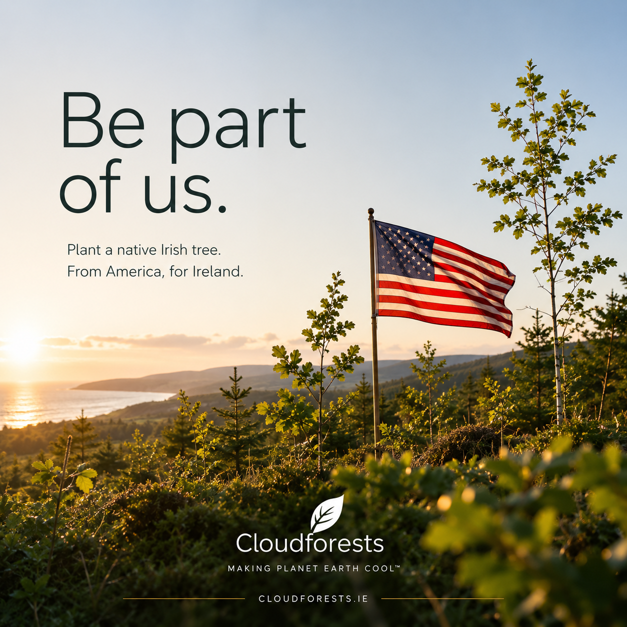 usa flag planted in an irish native forest