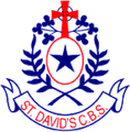 St Davids Logo.png