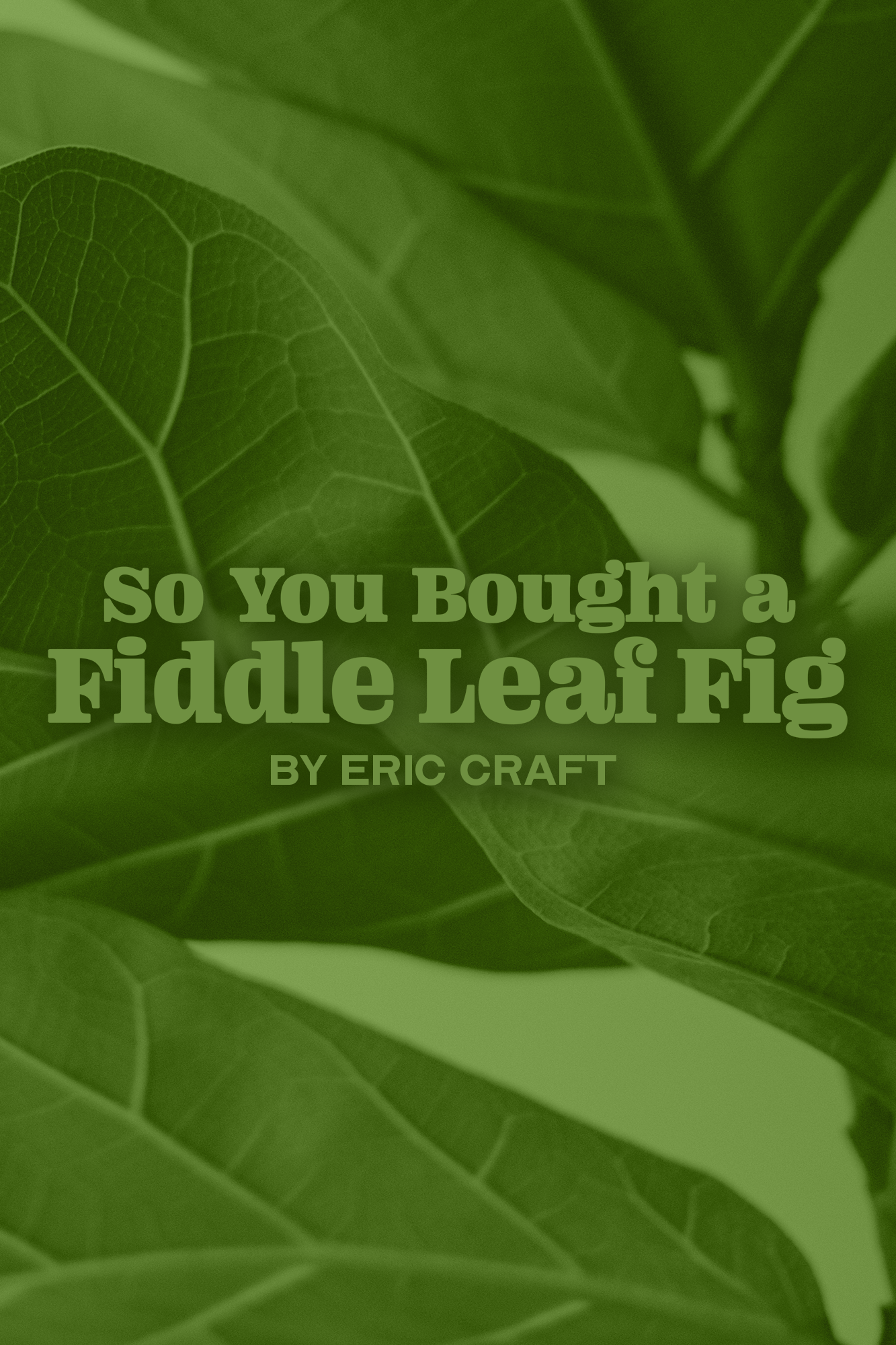 3 fiddle leaf - poster.png