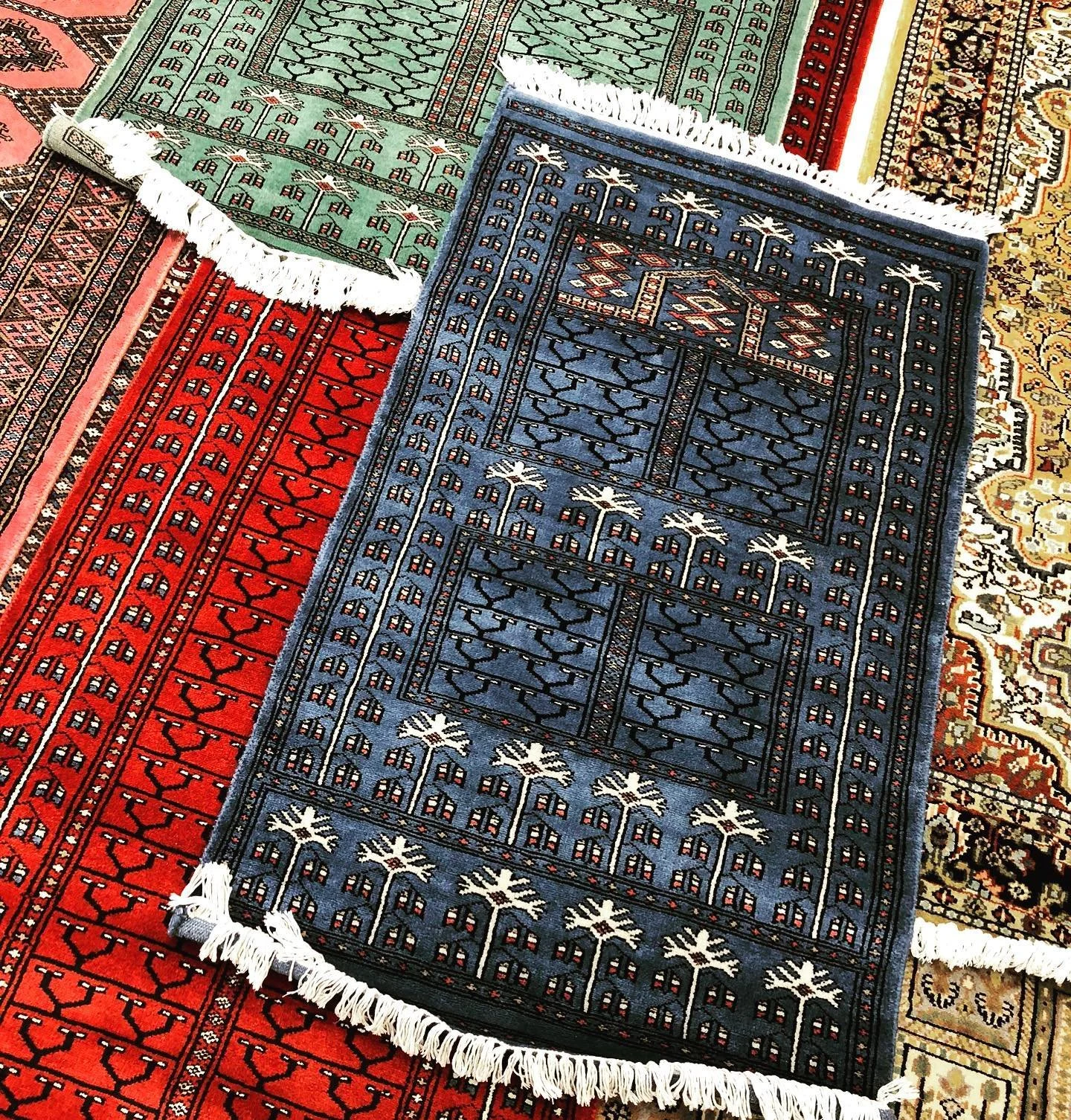 Rug Shopping in #Jaipur #India last year #silkrugs