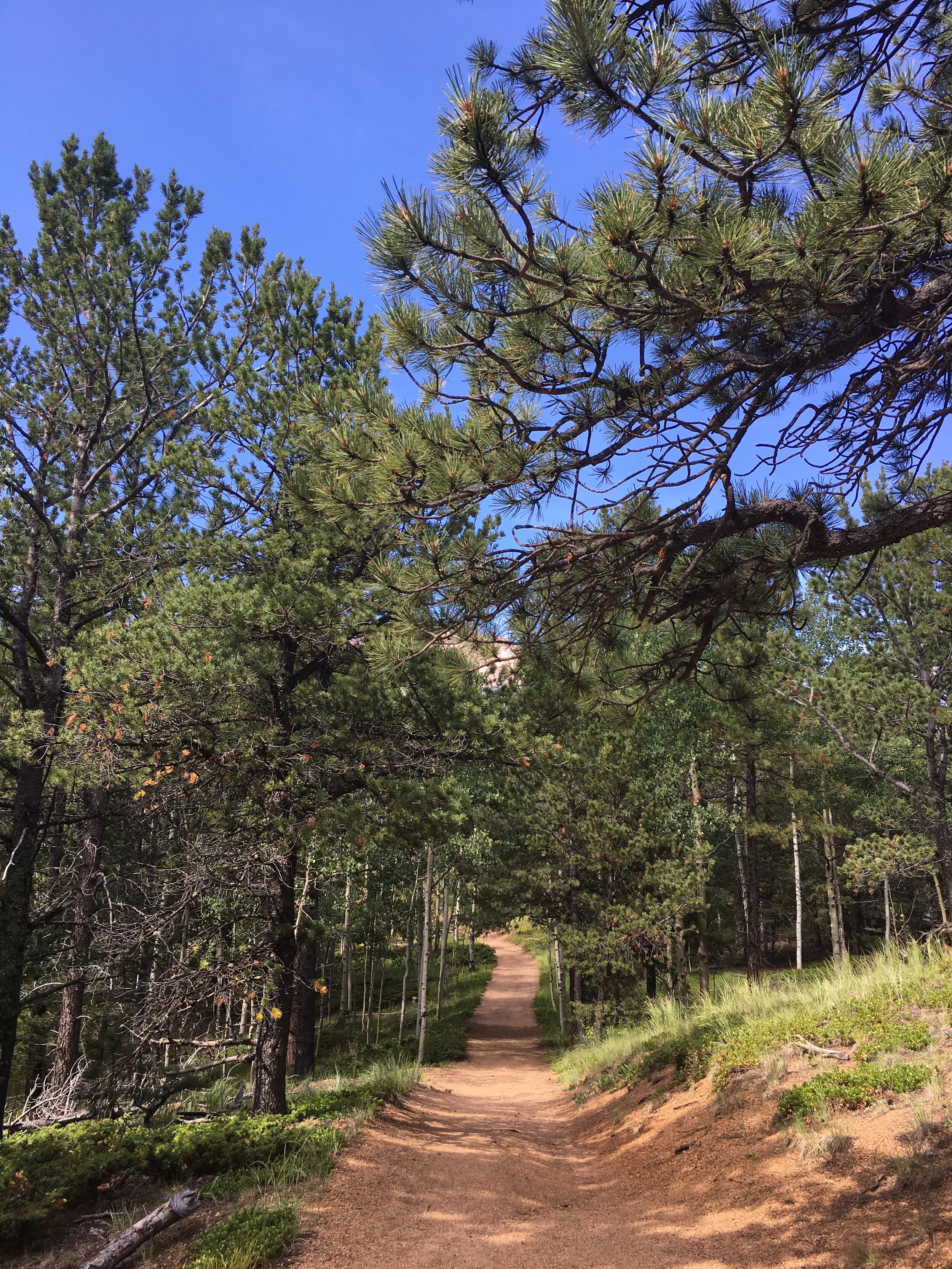 Barr Trail views