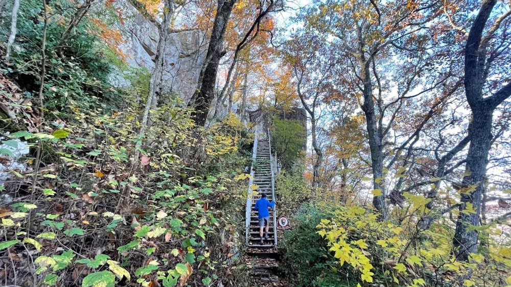 Stairs to Point Park 