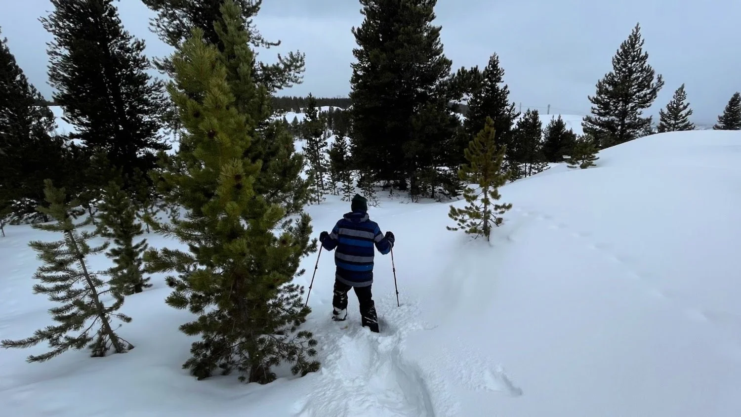 Top Winter Hikes in Leadville That Will Take Your Breath Away