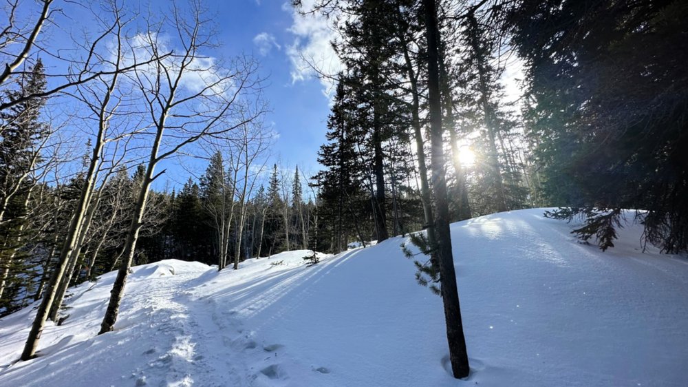 Cold but majestic Snowshoe Trails in Colorado