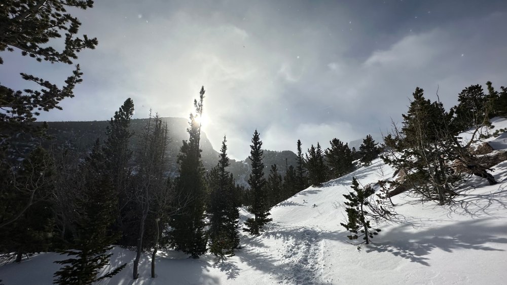 Snowshoeing trails in Colorado to Mills Lake