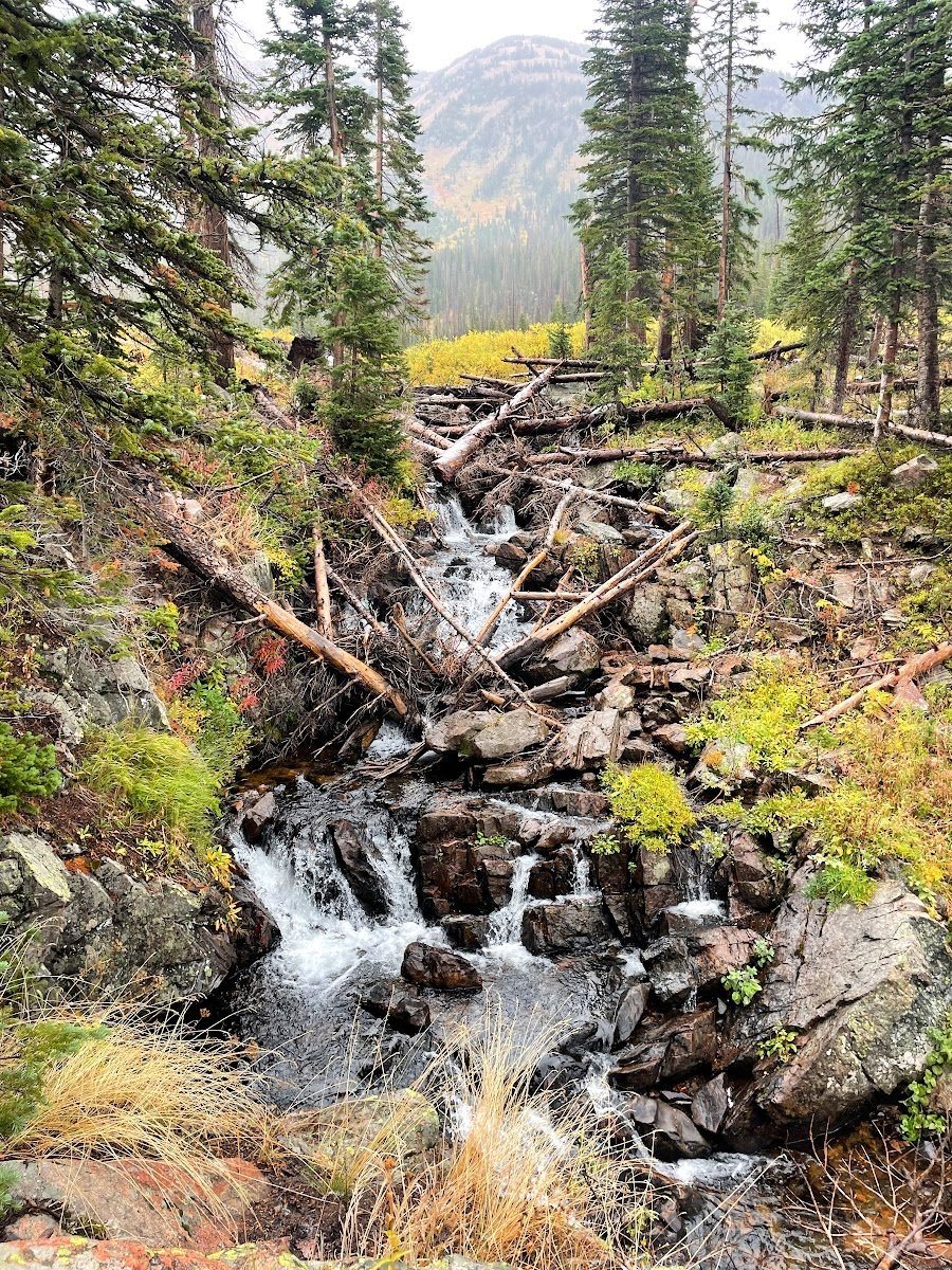 One of many streams and waterfalls