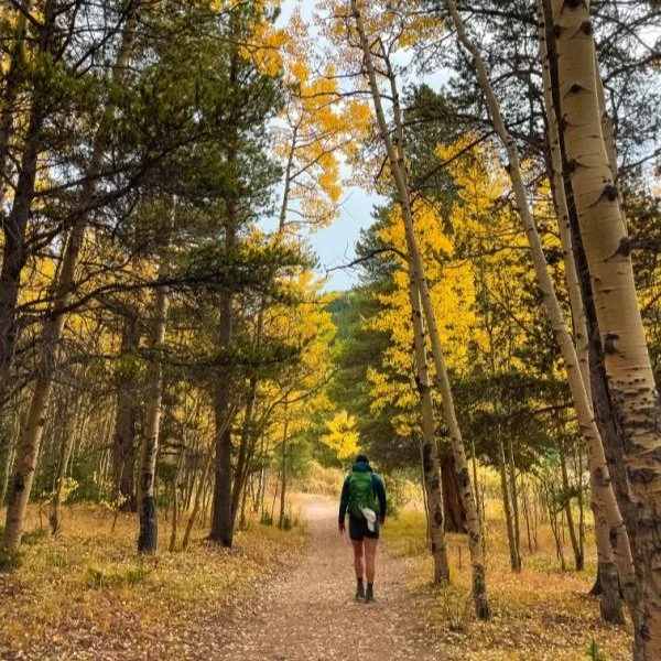 Hikes Along Guanella Pass 2025