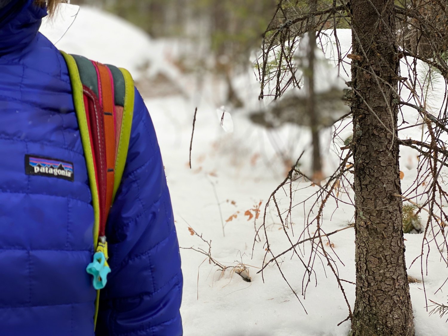 Why the Patagonia Nano Puff should be in Your Closet — Colorado Hikes and  Hops