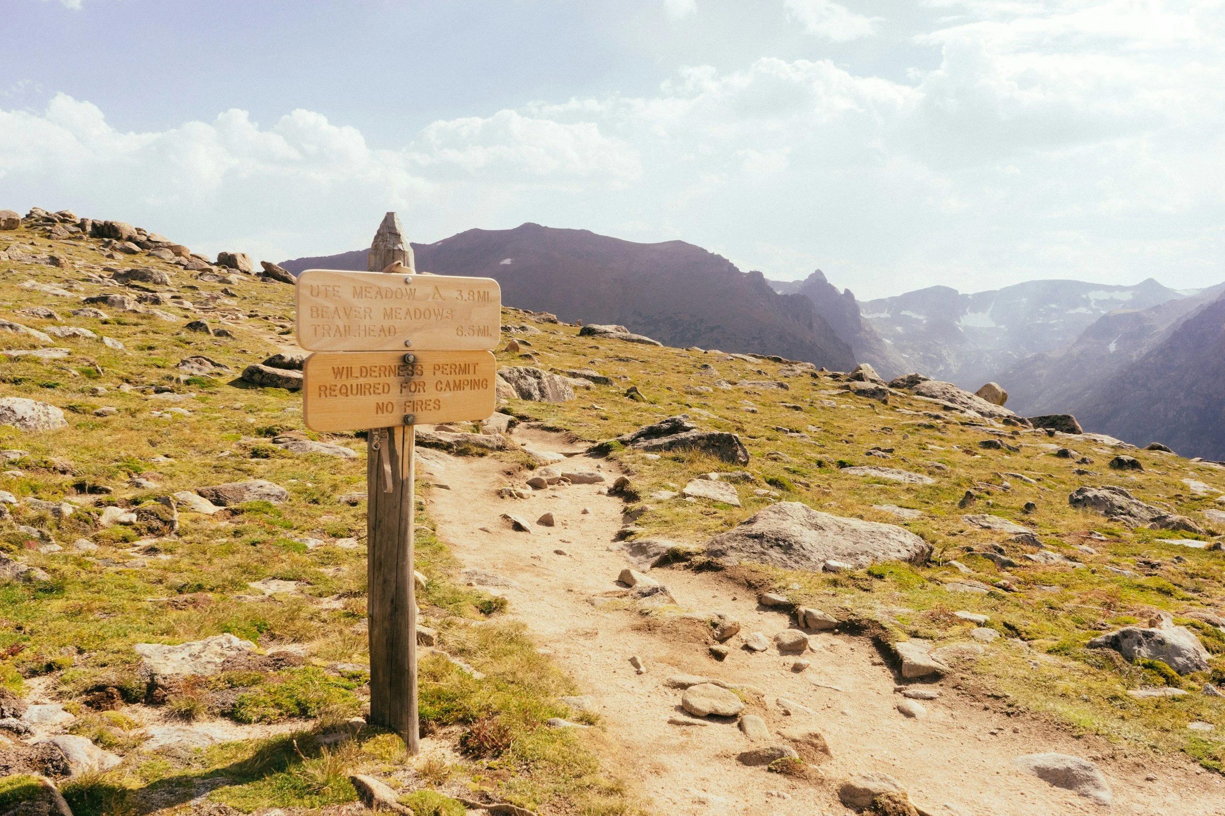 Laughs, Life Lessons, and a St. Bernard: My Unexpected Encounter on the Colorado Trail