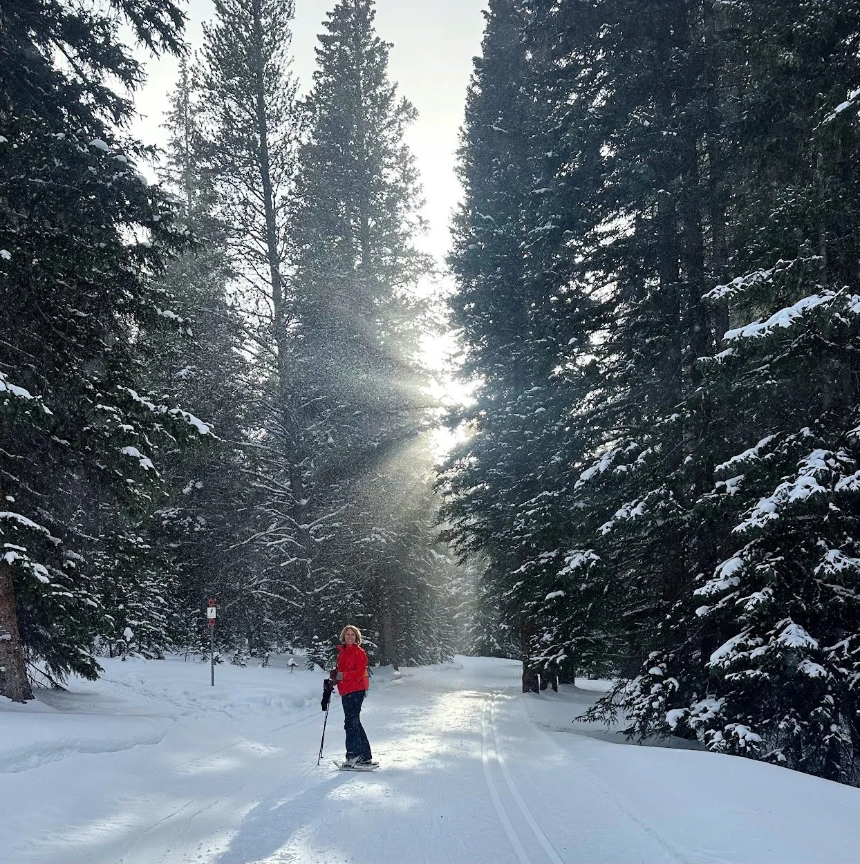 Winter Hikes in Leadville CO That Will Take Your Breath Away