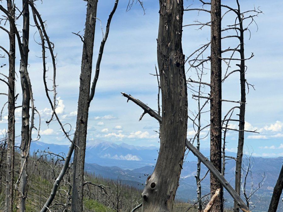 Westcliffe Colorado Adventures in the Sangre