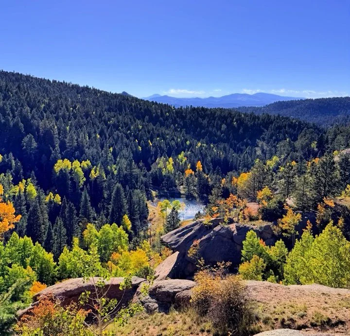 mueller park