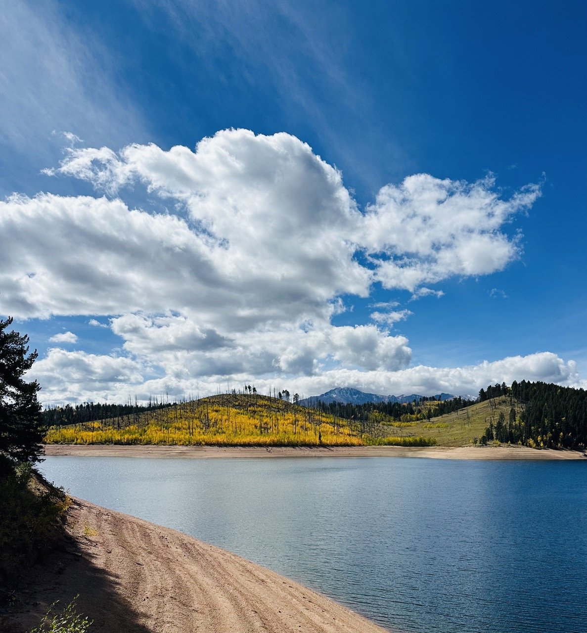 fall leaves with mountain