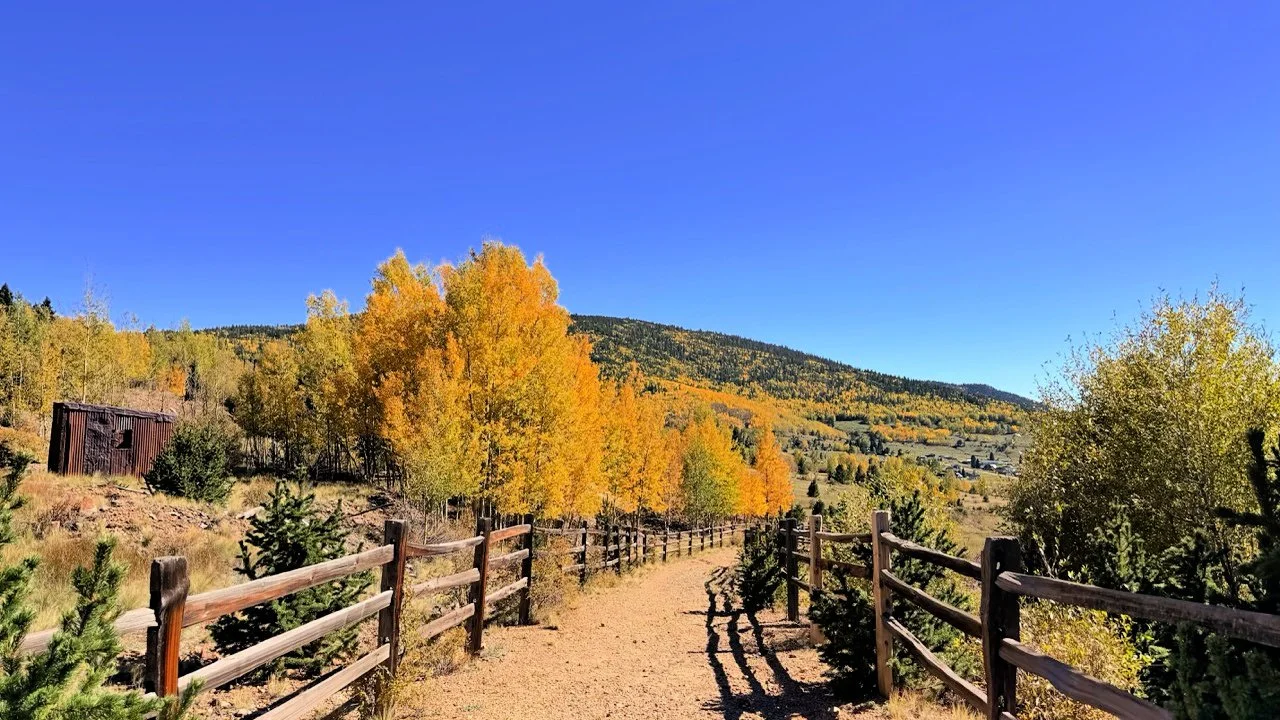 aspens near victor colorado