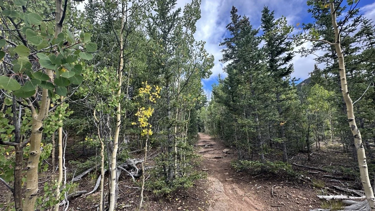 Hiking in Eleven Mile Canyon near Victor, Colorado