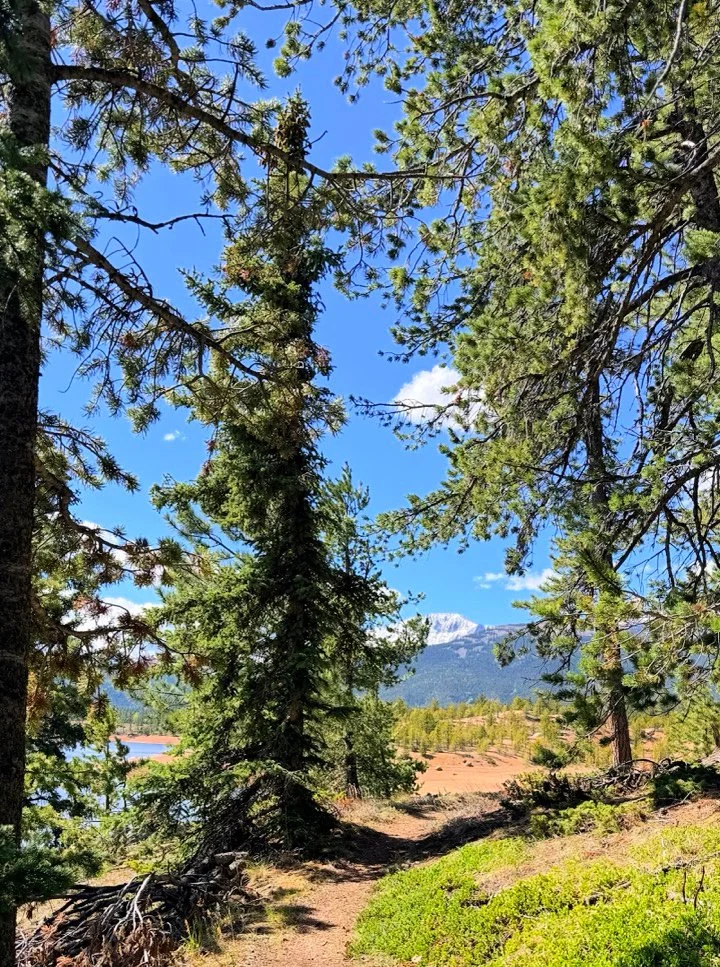 trail along north catamount reservoir