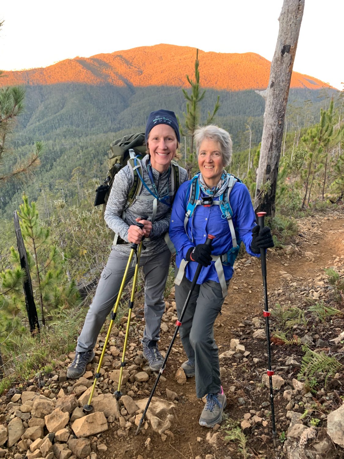 Kuhl Hiking Pants for Women in 2023: Are They Worth the Investment? —  Colorado Hikes and Hops