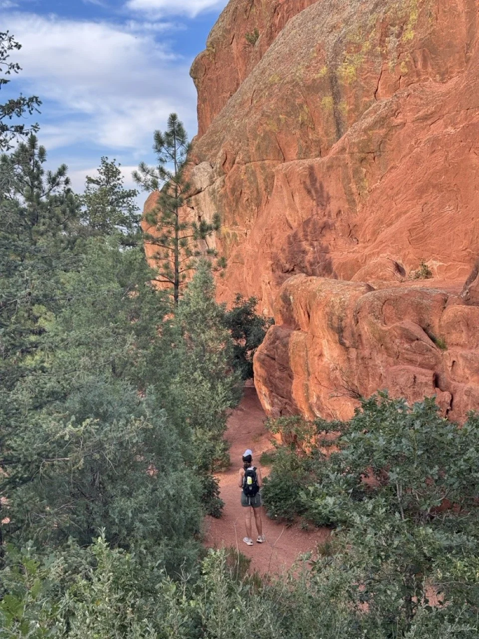 woman looking up at red rocks