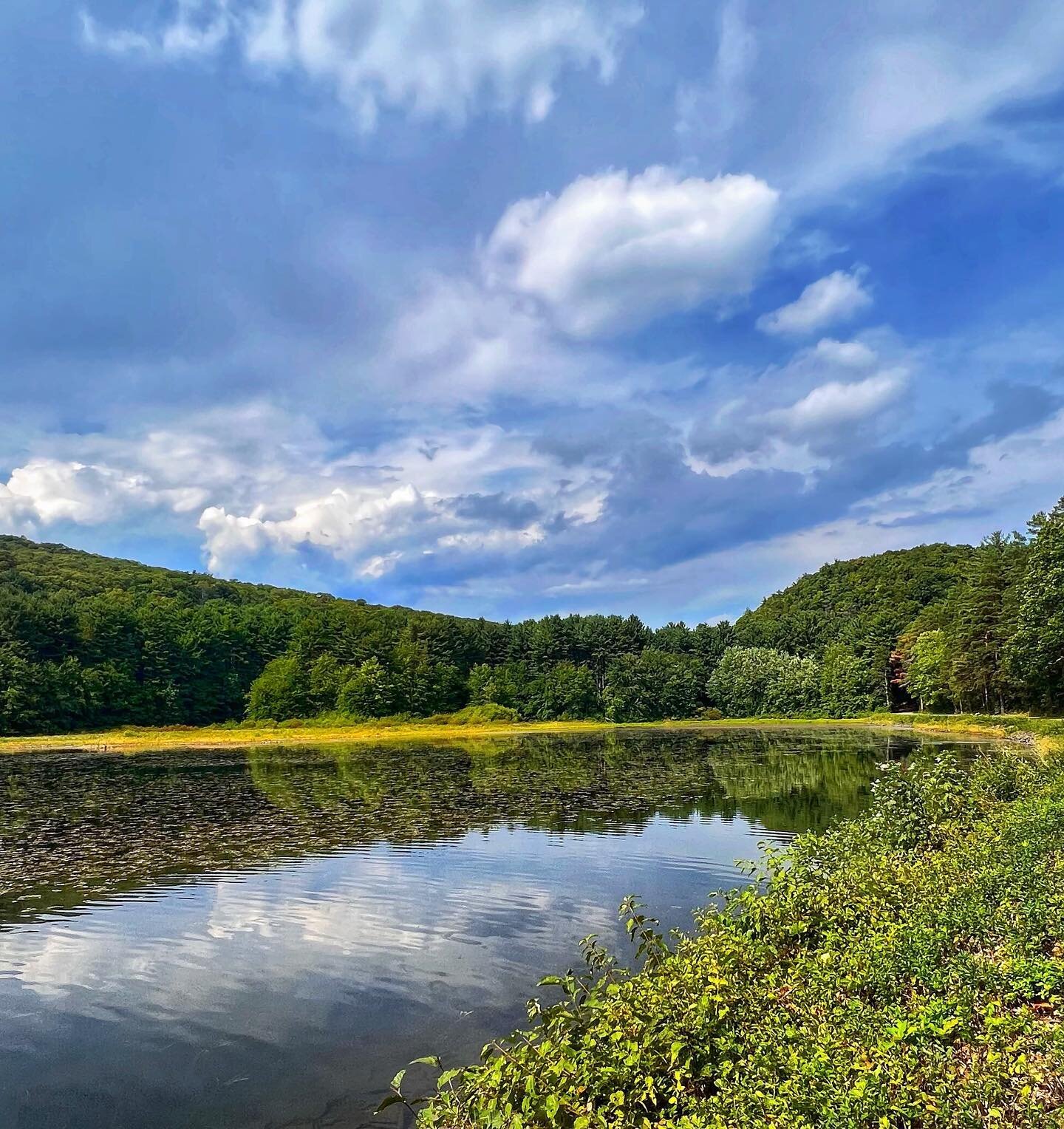 It&rsquo;s water weds. Ok that&rsquo;s not a thing.

@bestofholyoke and I are stoked to share these snaps from summer hikes around Whiting Street Reservoir at the base of Mount Tom in Holyoke, Massachusetts.

Which is your fav: 1) end of summer refle